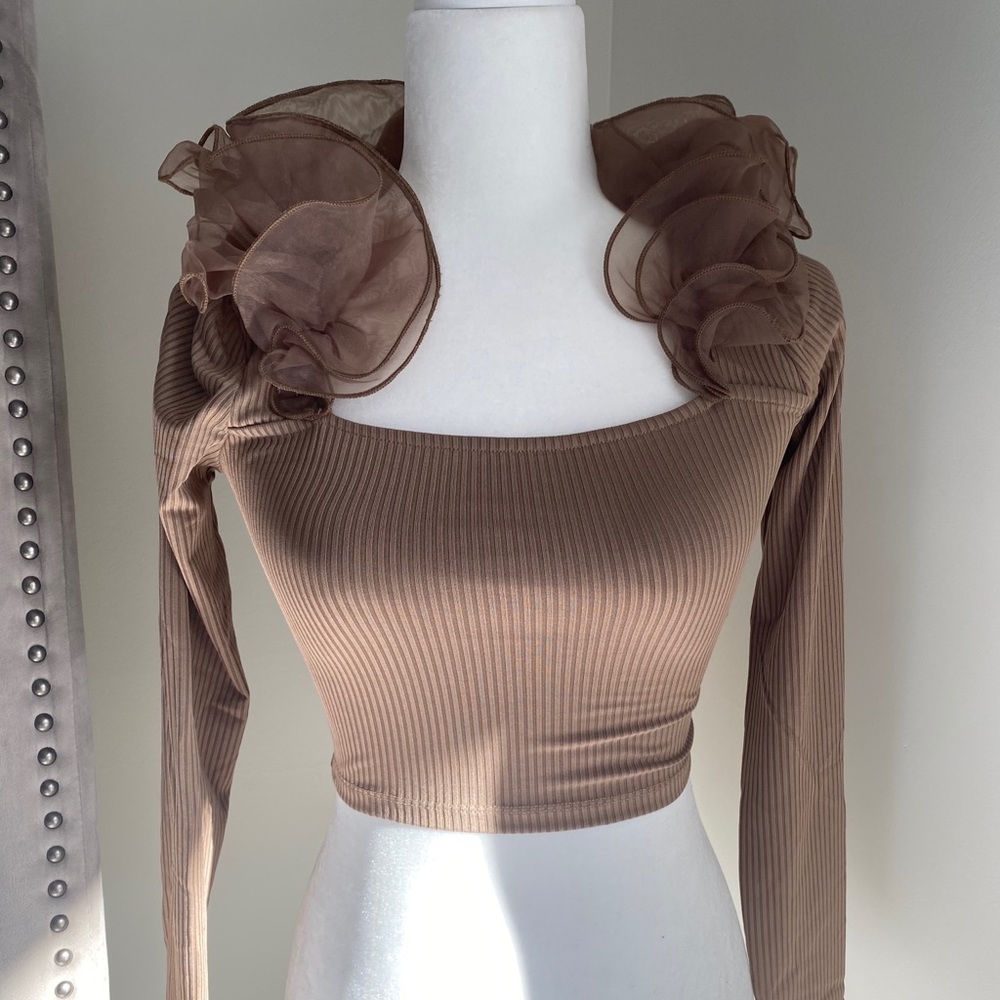 Zara Ruffle Organza Top NWT - Picture 9 of 10